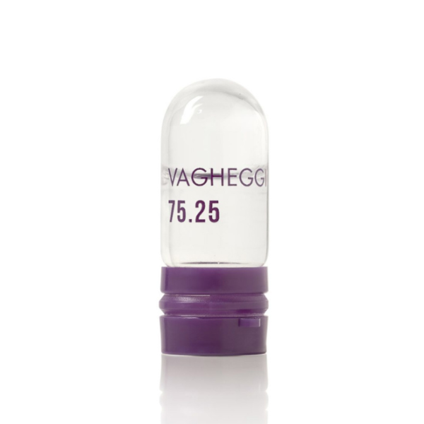 VAGHEGGI Longevity Intensive Treatment Kit