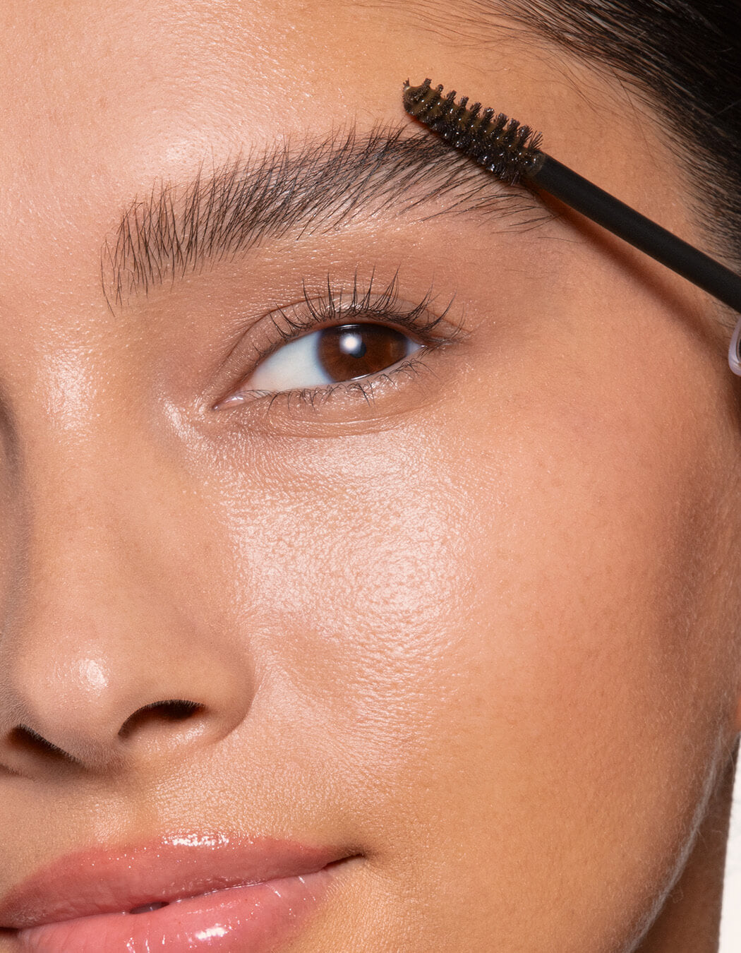 Spotlight on Brows Collection