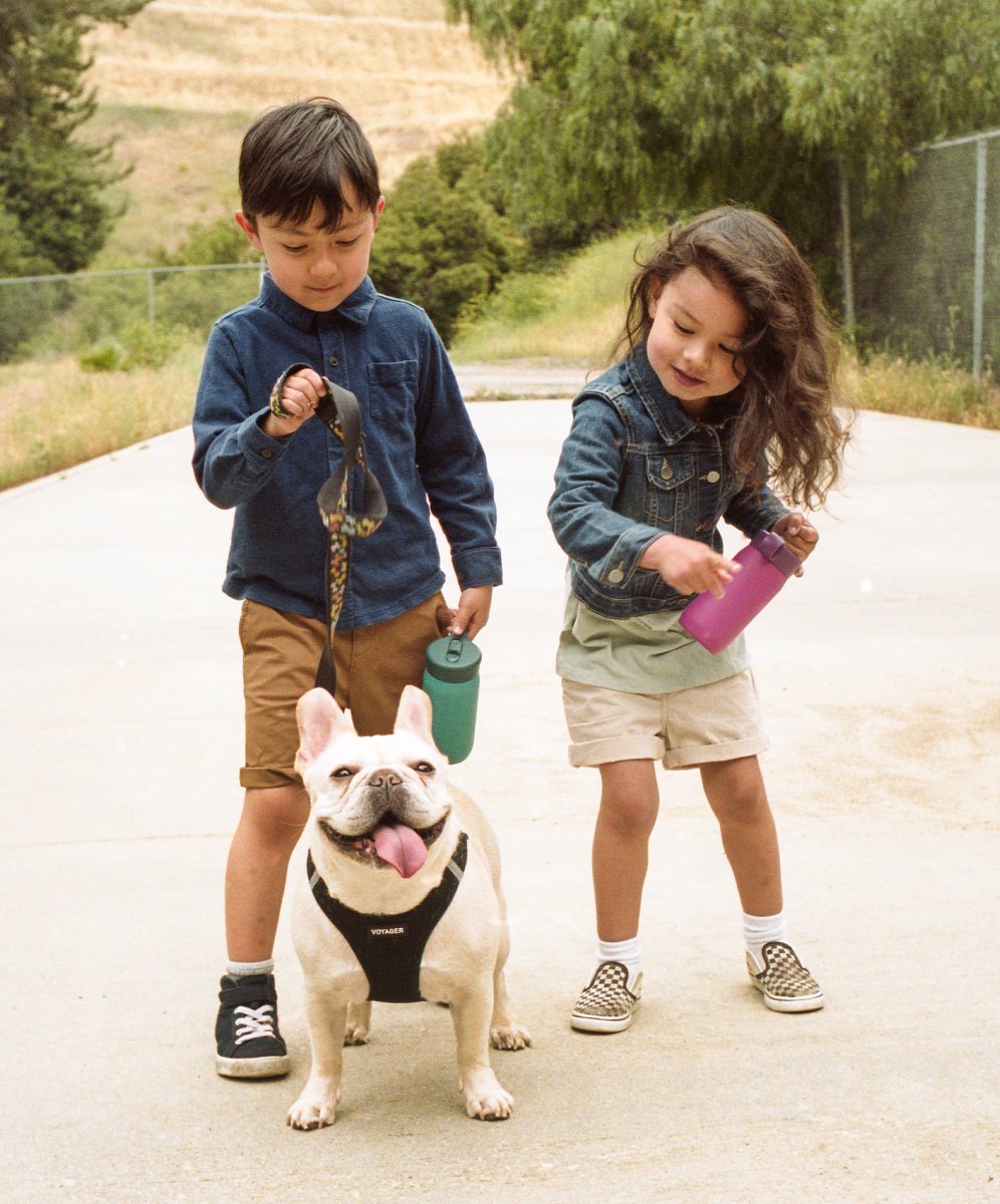 Kinto Play Tumbler 300ml